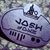 Josh Lupo's profile image