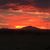 Cyndi Hensley-Reed's profile image
