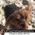 Suzy Evans's profile image