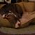 Andrea Smith's profile image
