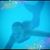 Lynetta Scholle's profile image