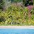 Tammy Jewett Wendel's profile image