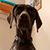 Carol Goins's profile image