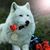 Tammy Lunn's profile image