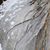 Tammy Schane's profile image
