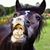 JC Rhino's profile image