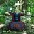 Jody Shultz Thomae's profile image