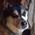 Andy Venditelli's profile image