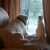 Althea Moga's profile image