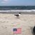 Pat D'orr Smith's profile image