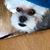 Cyndie Wellman's profile image