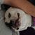 Brianne Davis's profile image