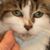 Charles Barngrover's profile image