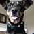 Gretchen Nicole Huffman's profile image