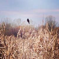 Jamie Engelbretson's profile image