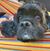 Bridgette Pinder's profile image