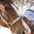 Michele Bailey Burch's profile image