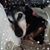 Kim Barkdull's profile image