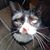 Chris Kurland's profile image