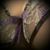 Scarlett Gold's profile image