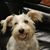 Jane Minor McCasland's profile image