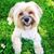 Gatsby Newport's profile image