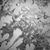 Prairie Wind's profile image