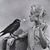 Stephanie Waldron's profile image