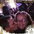 Christy Nichols Kirby's profile image