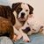 Paula Cassel Baer's profile image