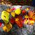 Mary Boyer Turner's profile image