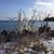 Sharon Sherry Pearson Johnson's profile image