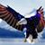 Charles E Warren III's profile image