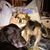 Judy Smith's profile image