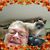 Kim Joe Brubaker's profile image