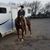 Deb Thompson's profile image