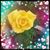 Rhonda Sims's profile image