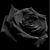 Elizabeth Lopez's profile image