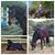 Michelle Wheeler Schuler's profile image
