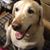 Carole Nickles Stinson's profile image