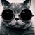 Michelle Mattulat Edgar's profile image