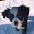 Edward Shneyder's profile image