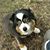 Roxanne Freel's profile image