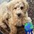 Donna Mackin's profile image
