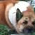 Julie Wells's profile image