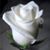 Juan Pelaez's profile image