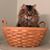 Lee Anne Bostick's profile image