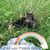 Jennifer Florey's profile image