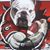 Greg Pope's profile image
