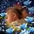 Sonia Brown's profile image